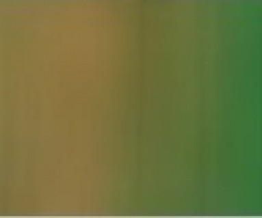 4mm Silk no 20 Fern Brown Green